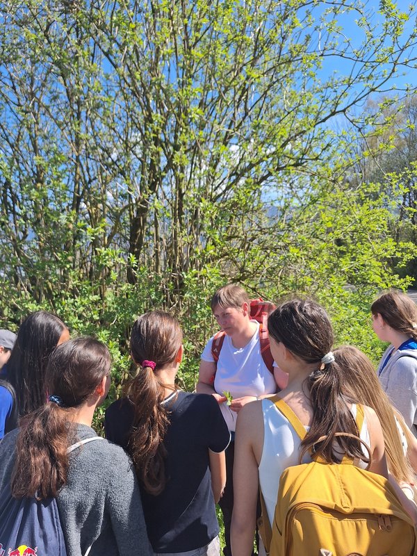 image-978